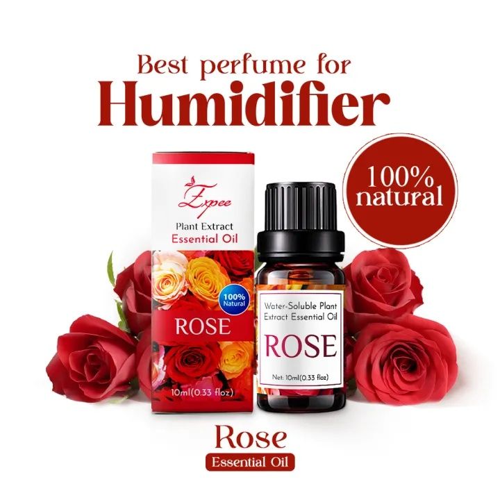 10ml%20Essential%20Oil%20for%20Humidifier%20Best%20Cool%20Fragrance%20for%20Home%20Freshness%20-%20Image%203