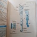 CLINICAL ANATOMY AN ILLUSTRATED REVIEW WITH QUESTIONS AND EXPLANATIONS 10TH EDITION BY RICHARD S.SNELL. 