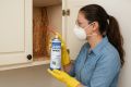 Termite & Wood Borer Killer – Solignum Wood Preservative Spray for 12/12 new year sale. 
