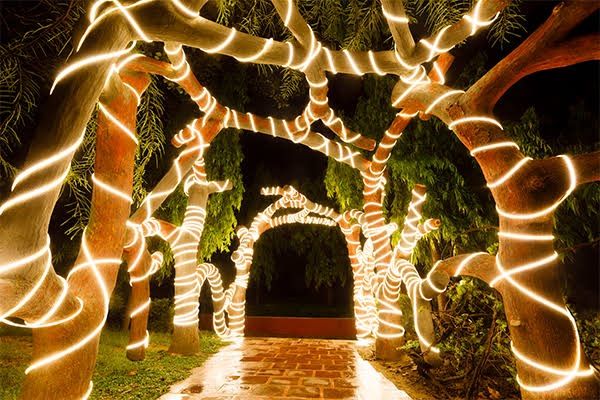 LED%20Rope%20lights%2070meter%20coil%202835%20led%20Room%20Decor%20led%20light%20Strip%20for%20Bedroom%20Decoration%20party%20,%20Ceiling%20light%20and%20Home%20Decor%20waterproof%20light%20-%20Image%203