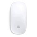 Apple Magic Mouse 2. 
