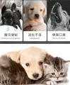 NEW 180 Tablets Pet Active Nutritional Probiotics Improve Diarrhea Digestion Gastrointestinal Health Products for Cats and Dogs. 