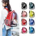 Capsule Bubble Pet Backpack Small Cat Pet. 