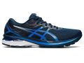 Asics Gt2000-9 Shoe. 