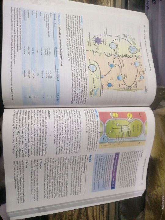 Pharmacology Mini Katzung & Trevor's Examination and board review