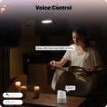 MOES Smart Candle LED Bulb E12 WiFi Tuya 5W RGBCCT 16 Million Colors 2700–6500K Voice Control Supported. 