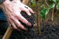 All in One Compost Mix Soil Conditioner Fertilizer 5kg (කොම්පෝස්ට් පොහොර). 