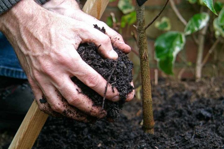 All%20in%20One%20Compost%20Mix%20Soil%20Conditioner%20Fertilizer%205kg%20(%E0%B6%9A%E0%B7%9C%E0%B6%B8%E0%B7%8A%E0%B6%B4%E0%B7%9D%E0%B7%83%E0%B7%8A%E0%B6%A7%E0%B7%8A%20%E0%B6%B4%E0%B7%9C%E0%B7%84%E0%B7%9C%E0%B6%BB)%20-%20Image%204