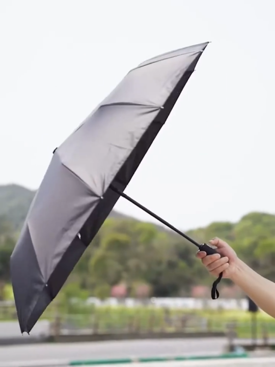 Fashion Large Travel Umbrella, Heavy Duty Windproof Waterproof Umbrella, Fully Automatic Open And Close Golf Umbrella, UPF50+ UV