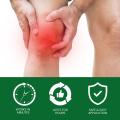 74ml Biofreeze Roll On Pain Relief for Knee Lower Back Relief Sore Muscle Relief Cooling Joint Pain Menthol Gel Paste. 