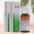 R13 Piles Drop | Dr Reckeweg Germany R13 Homeopathic Medicine. 
