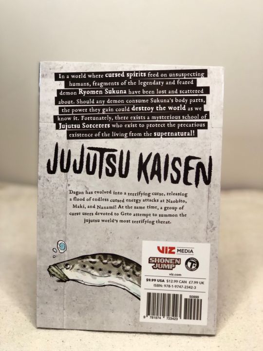 Jujutsu%20Kaisen%20Volume%2013%20-%20Image%202