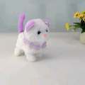 Battery oporetor walking cat toy. 