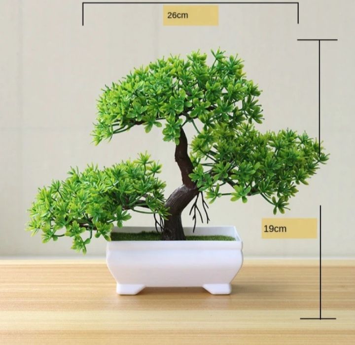 Bonsai tree