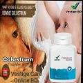 Vestige Colostrum 60 capsules India. 