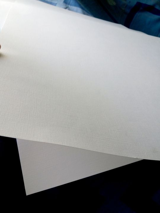 SP Canvas Paper In 240 Gsm For Acrylics & Oil Colors Single Sheet