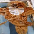 lion king of costume for kids 4 to 6. 