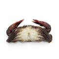 Whole Round Soft Shell Crab (Large) – 1kg | Fresh & Delicious Seafood. 