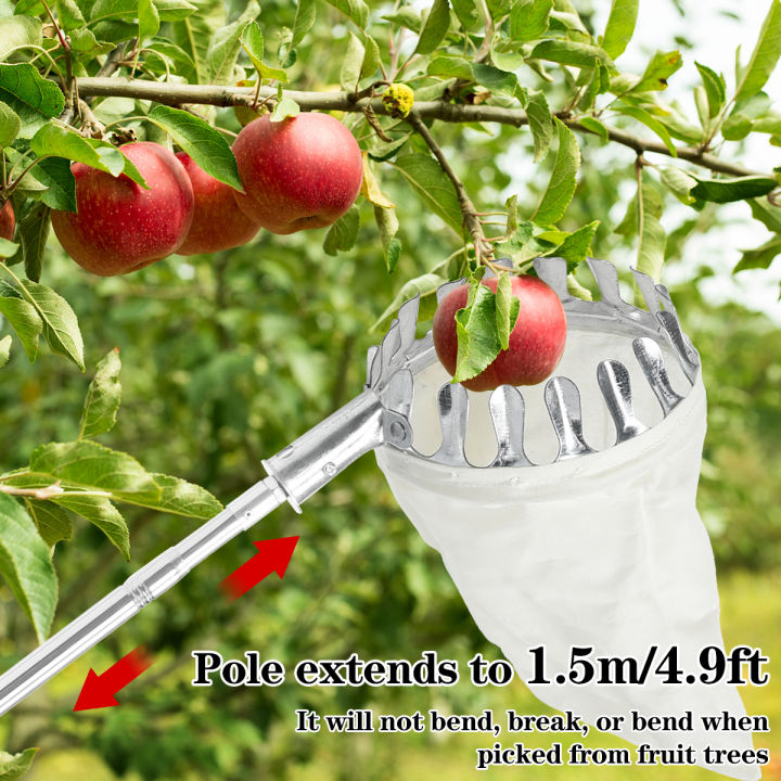 Metal Adjustable Fruit Picker Tool Fruit Picking Harvester with 4.9Ft ...
