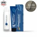 Eazicolor 12.19 Super Ash Ice Blonde Eazicolor Professional Permanent Hair Colour With Developer. 