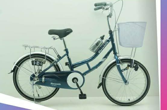 24" bicycle for Girls Cobalt Periwinkle