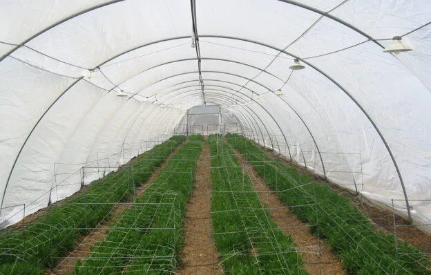 White%20mosquito%20net,%20white%20mosquito%20net,%20insect%20net,%20greenhouse%20netting,%20nylon%20mosquito%20net%20with%20UV%2024%20eyes,%203x5%20meters%20-%20Image%204