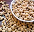 Premium Safed Lobia 500g - White Lobiya| Kidney| Desi White Lobia Daal | Safaid Rajma, white Soya beans, White cowpea lentils, perfect for salads, soups, and traditional dishes. Fresh, organic, and preservative-free, lobia red, brown, white. 