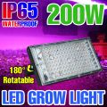 200W LED Grow Light Full Spectrum 220V Greenhouse Plant Fill Lamp Tent Succulent Indoor Cactus Hydroponic Lighting 25W 50W 100W. 