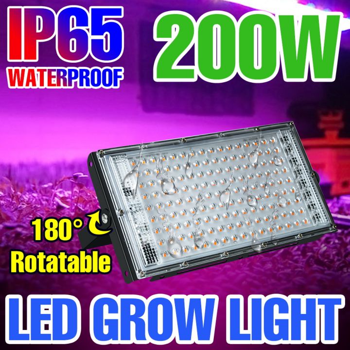 200W LED Grow Light Full Spectrum 220V Greenhouse Plant Fill Lamp Tent Succulent Indoor Cactus Hydroponic Lighting 25W 50W 100W