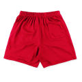 Men's Lightweight Mesh Breathable Training Cool Felling Shorts Summer Sports Running Pants.