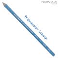 Prismacolor scholar Group blue-blue. 