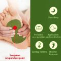Natural Wormwood Detox Foot Patches Help Sleep Cleansing Toxins Foot Pads Relieve Stress Care Slimming Body Detoxification Paste. 