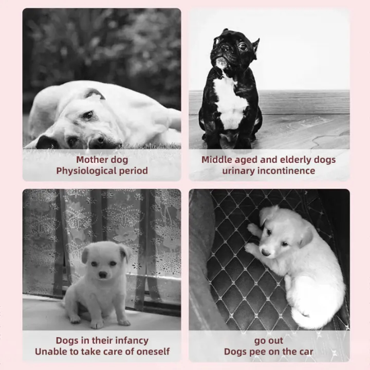 HOOPET%2010pcs%20Disposable%20Dog%20Diapers%20Female%20Male%20Super%20Absorption%20Physiological%20Cat%20Pet%20Leakproof%20Nappies%20Pants%20Breathable%20-%20Image%205