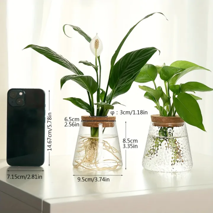 1pc,%20glass%20flowerpot%20breeding%20station%20vase%20rack%20desktop%20hydroponic%20plant%20cuttings%20office%20home%20decoration%20-%20Image%203
