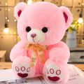 Soft Plush Cute Teddy Bear With 3D Eyes Multicolor Valentines Day Teddy Bear. 