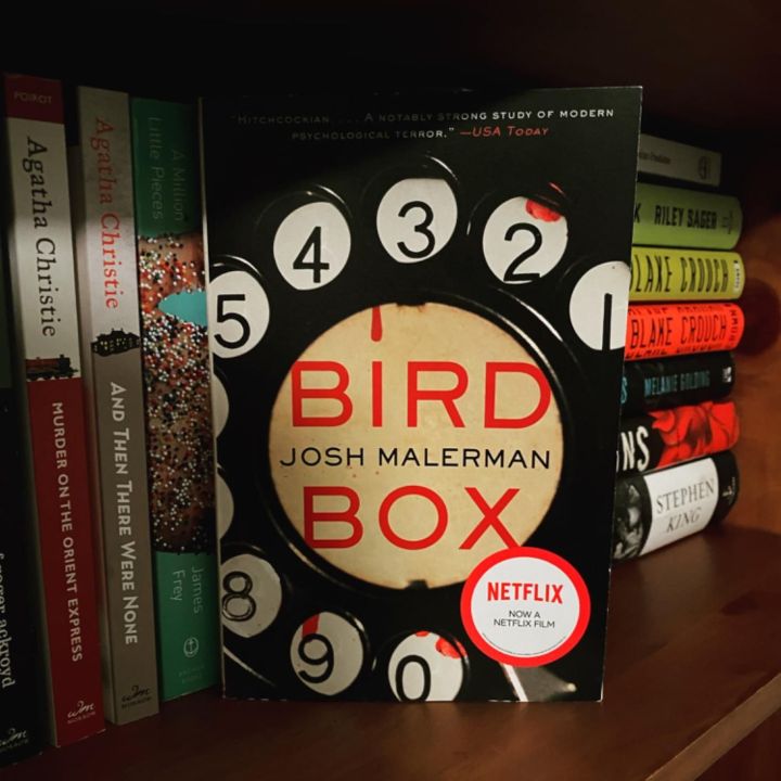 Bird Box (A modern horror novel) Premium Paperback, brown offset books