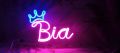 Customized Neon Sign, Home Decor, Neon sign-4 Letters. 