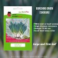 Bunching Onion-Vegetable Seed(ကြက်သွန်မြိတ်မျိုးစေ့). 