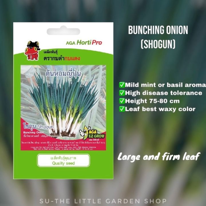 Bunching Onion-Vegetable Seed(ကြက်သွန်မြိတ်မျိုးစေ့)