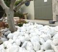 White very big Pebbles/ Stones for Garden and
Aquarium 1kg pack. 