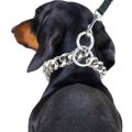 Havy duty dog choker collar. 