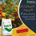 Speedfol K Sp Npk 10 10 40 + Te 1kg Soluble Fertilizer Sqm Swat Agro Chemicals. 
