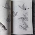 Adult Coloring Book 94 Pages Hundred Butterflies Chinese Line Drawing Collection Stress Relief And Relaxation Art Painting Book. 