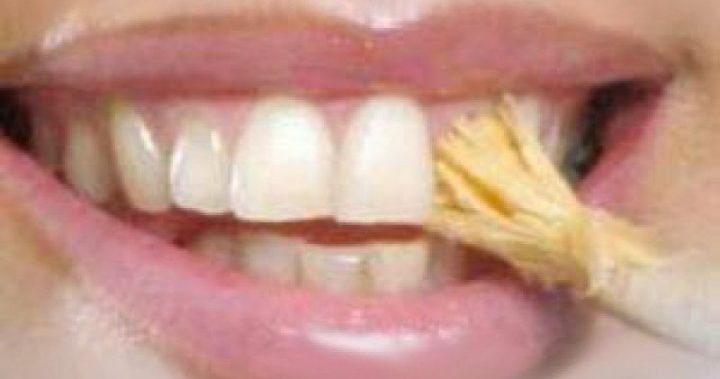 Neem%20Stick%20For%20Teeth%20%20%20Misfak%20%20Teeth%20brush%20-%20Image%202