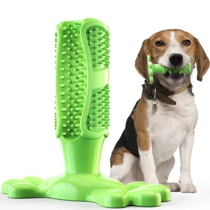 Pet%20Dog%20Cactus%20Interactive%20%20Chew%20Toys%20For%20Small%20Large%20Dogs%20Tooth%20Cleaning%20Toothbrush%20For%20Medium%20Large%20Dogs%20Treat%20Dispenser%20-%20Image%207