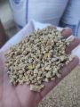 Islamabad poultry feed Broiler breeder starter chicken poultry feed no 14. 