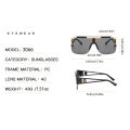 2PCS New Lion Head Integrated Sunglasses Trendy Large Frame Sunglasses Female Personalized Hollow Leg Sunglasses 6922.