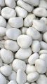White big Pebbles/ Stones for Garden and
Aquarium 1 kg pack. 