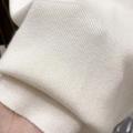 2025 Pullover Sweater  Basic Layering Piece Thin  Pullover Women Female Knitted Sweater Slim Short Sleeve Bodycon Sweater. 