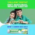Closeup Toothpaste Lemon Sea Salt 140g.